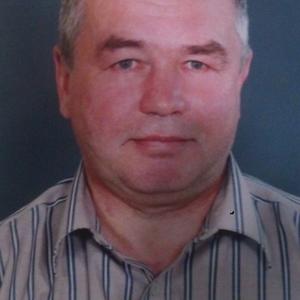 Андрей, 63 года, Карпинск