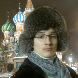 Мирослав, 29 лет, Тюмень