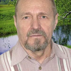 Михаил Дмитриев, 79 лет, Саратов