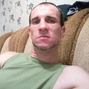 Николай, 39 лет, Тула