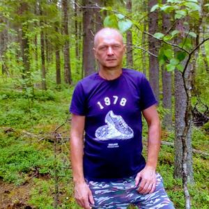 Алексей, 42 года, Архангельск