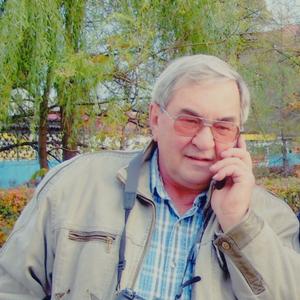Александр Сергеевич, 78 лет, Сызрань