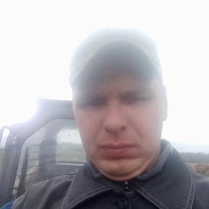 Михаил, 36 лет, Вологда