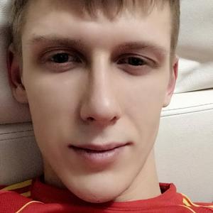 Иван Сергеевич, 28 лет, Курск