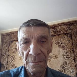 Владимир, 71 год, Владимир