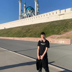 Данил, 19 лет, Ульяновск