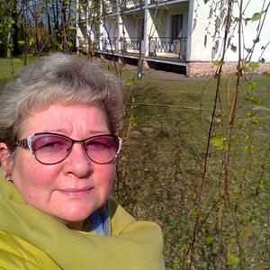 Нюша, 53 года, Архангельск