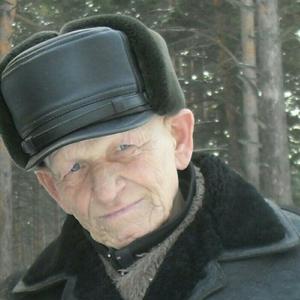 Вася, 71 год, Бийск