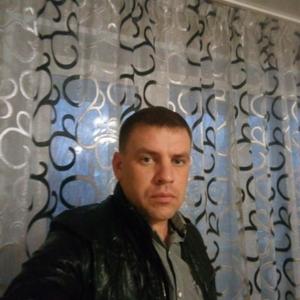 Pavel Pavel, 43 года, Петропавловск-Камчатский