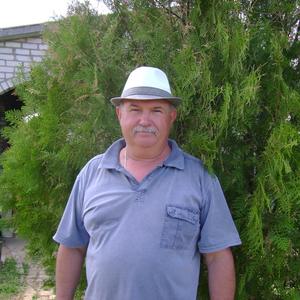 Виталий, 61 год, Волжский