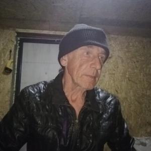Володя, 60 лет, Краснодар