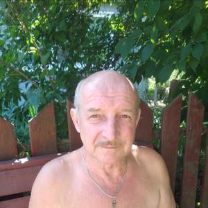 Валерий, 64 года, Бор