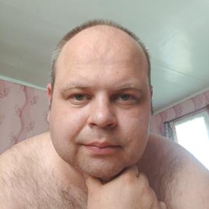 Евгений, 39 лет, Выборг