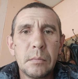 Andrei Kosolapov, 45 лет, Пычас