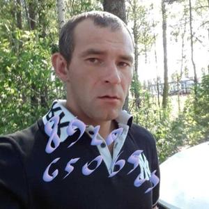 Тимур, 41 год, Ярославль