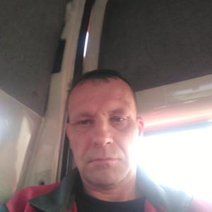 Николай, 47 лет, Подольск
