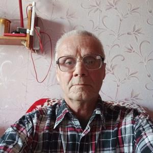 Марк Черный, 68 лет, Александров