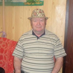 Анатолий, 71 год, Пристень