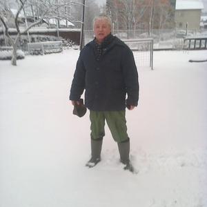 Парни в Петрозаводске: Петр, 70 - ищет девушку из Петрозаводска