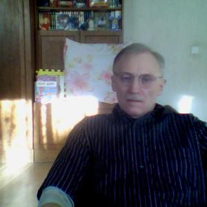 Владимир, 65 лет, Ангарск