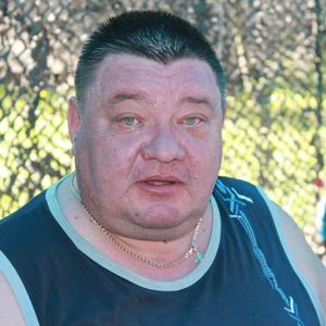 Дмитрий, 58 лет, Мытищи
