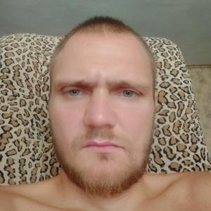 Владимир, 39 лет, Шебекино