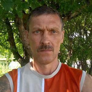 Николай, 60 лет, Миасс
