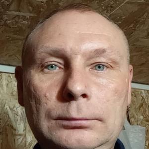 Парни в Электрогорске: Анатолий, 39 - ищет девушку из Электрогорска