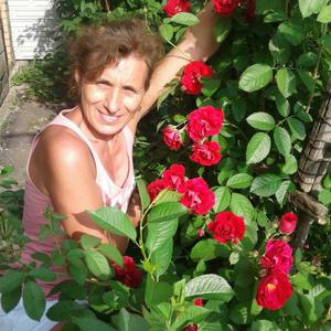Наталья, 55 лет, Белгород