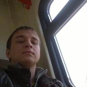 Дмитрий, 26 лет, Навля