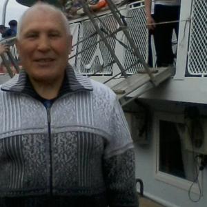 Владимир Тищенко, 78 лет, Киров