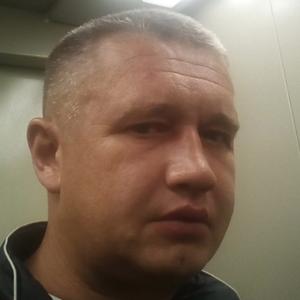 Анатолий, 47 лет, Псков