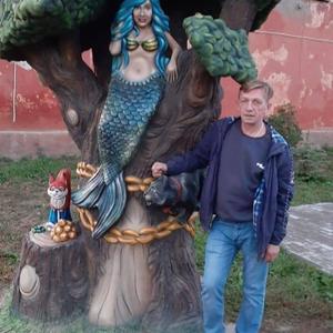 Андрей, 54 года, Белев