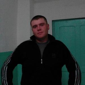 Анатолий Быховой, 41 год, Куйбышев