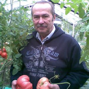 Михаил, 74 года, Екатеринбург