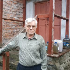 Виктор, 73 года, Санкт-Петербург
