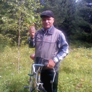 Павел Попов, 64 года, Кушва