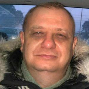 Василий, 46 лет, Краснодар