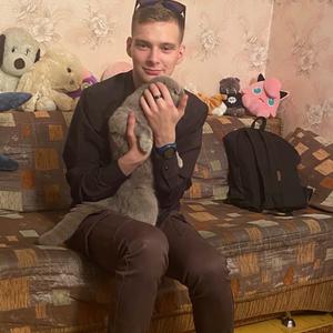 Парни в Мурманске: Николай, 24 - ищет девушку из Мурманска