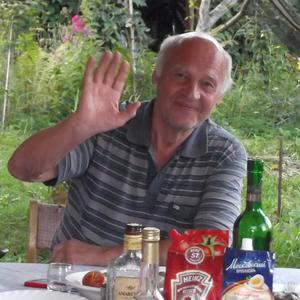 Олег, 78 лет, Жуковский