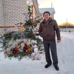 Владимир, 62 года, Ижевск