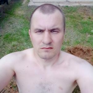 Дмитрий Иванов, 38 лет, Бузулук
