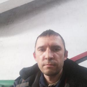 Андрец, 42 года, Братск