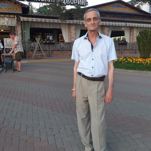 Александр, 64 года, Мытищи