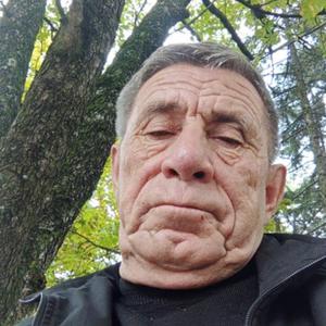 Субхон Каримов, 65 лет, Курск