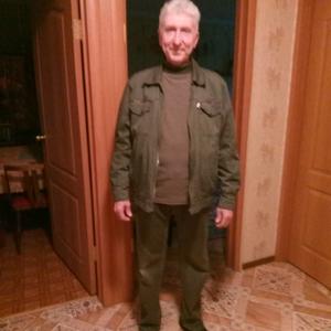 Сергей, 65 лет, Столбовая