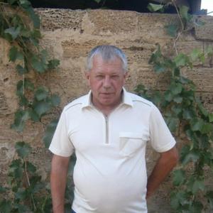Владимир Подосёнов, 59 лет, Тепловка