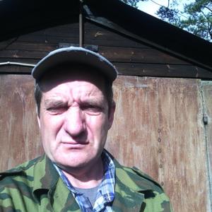 Василий Анисимов, 58 лет, Псков