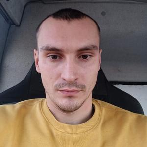 Илья, 27 лет, Домодедово