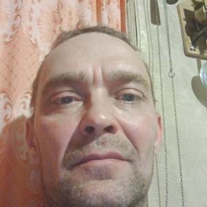 Юрий, 48 лет, Железногорск